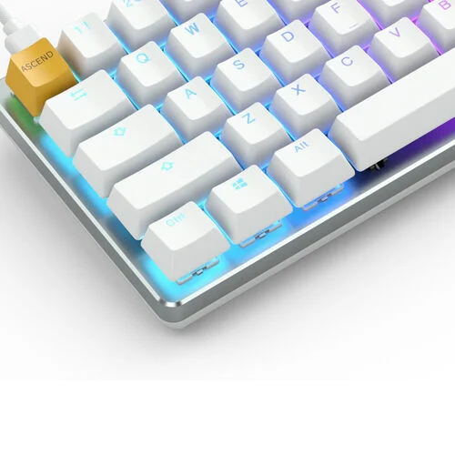 Glorious GMMK White Ice Edition Brown Switch Mechanical Keyboard - Compact