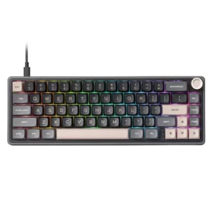 RK ROYAL KLUDGE R65 60% Backlit Mechanical Gaming Keyboard > Phantom